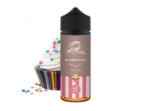 Steam Train - Magnificent