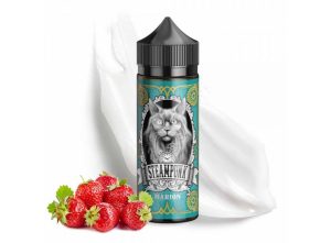 Marion 30ml (120ml) – Steampunk Flavourshots