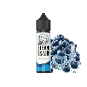 Steam Train Disposable Edition Blueberry Ice 20/60ml