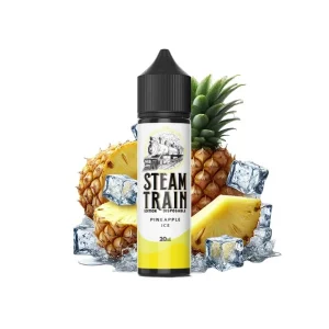 Steam Train Disposable Edition Pineapple Ice 20/60ml